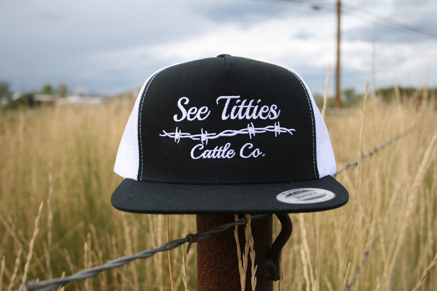 5 Panel Barbed Wire