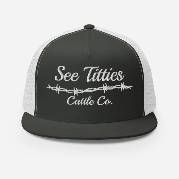 5 Panel Barbed Wire